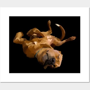 brown dog sleeping-vector art Posters and Art